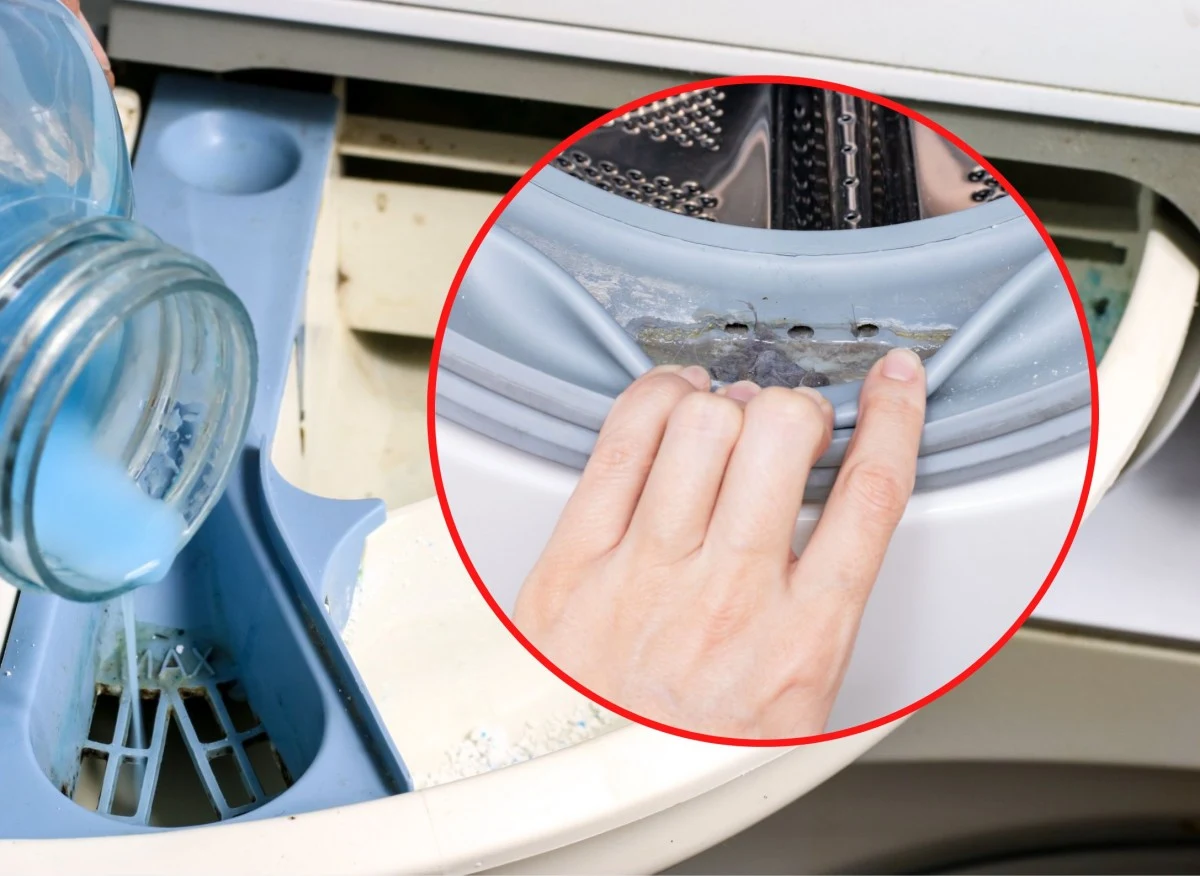 Pralka może być sprawna przez długie lata – ogromny wpływ na to ma sposób jej eksploatacji