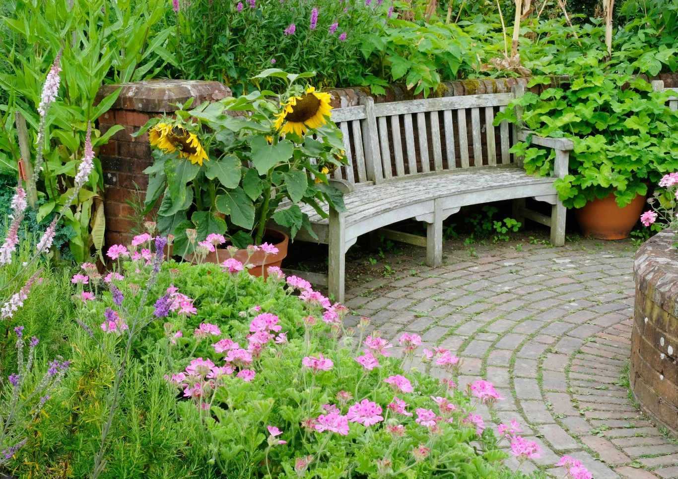 Słoneczniki przepięknie zdobią ogród