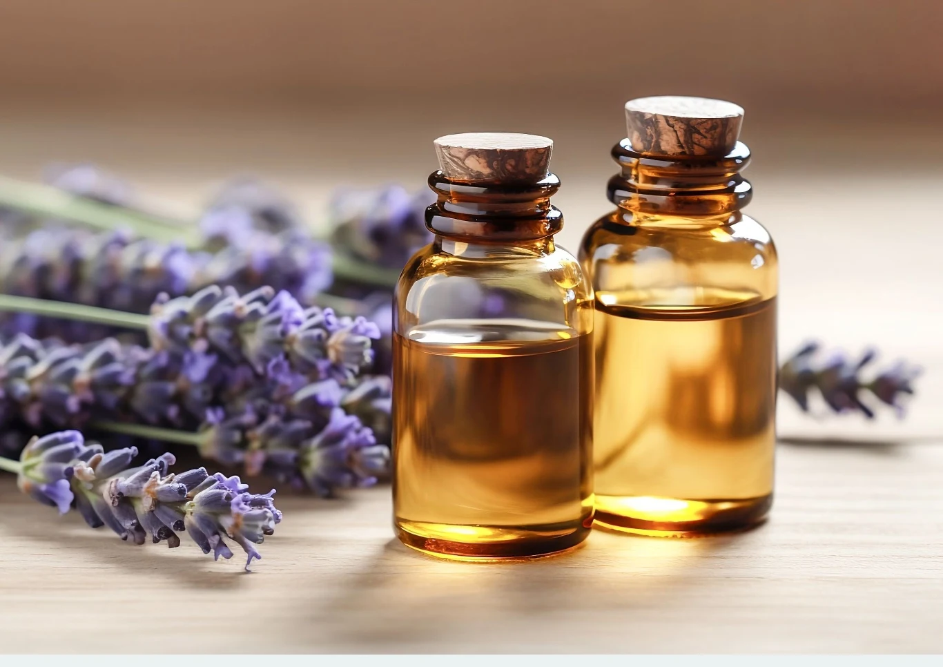 Olejek lawendowy ma wiele właściwości leczniczych. Fot. 123FR.com