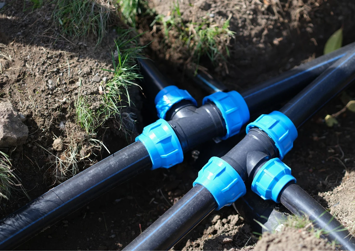 Do nawadniania ogórków warto używać odpowiednich systemów.