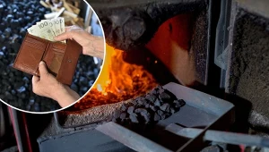 Ekogroszek to świetna alternatywa dla tradycyjnego węgla. Fot.Bartlomiej Magierowski/East News/Daniel Dmitriew/Forum