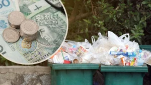 Nigdy nie wyrzucaj ich do odpadów zmieszanych. Grozi za to nawet 5 tys. zł kary