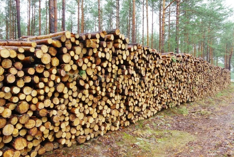 Cena drewna opałowego zależy od kilku czynników