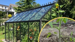 Nawadnianie kropelkowe to same korzyści zarówno dla ogrodnika, jak i dla jego roślin.