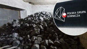 Sprawdzamy, ile kosztuje tona węgla w lipcu 2023./East News