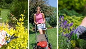 W lipcu czeka cię znacznie mniej pracy niż w maju czy w czerwcu. Zatem postaraj się odpocząć przed nadchodzącą jesienią i nacieszyć ogrodem, gdy jest w pełnym rozkwicie!
