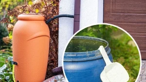 Sposobów, jak zbierać deszczówkę na działce jest kilka.