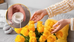 Co zrobić, żeby dłużej stały w wodzie? Przedstawiamy proste, domowe sposoby.