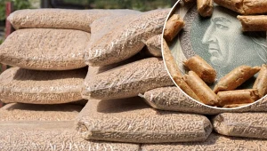 Jakie są ceny pelletu drzewnego w czerwcu 2023? Sprawdź.