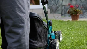 Pielęgnacja trawnika nie wymaga ogromnego wysiłku