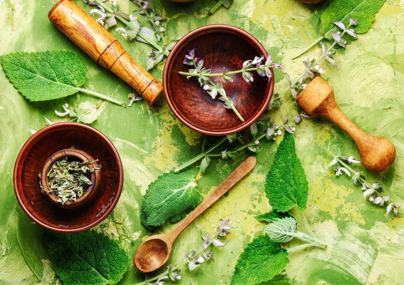 Sprawdzane są właściwości lecznicze szałkwii.