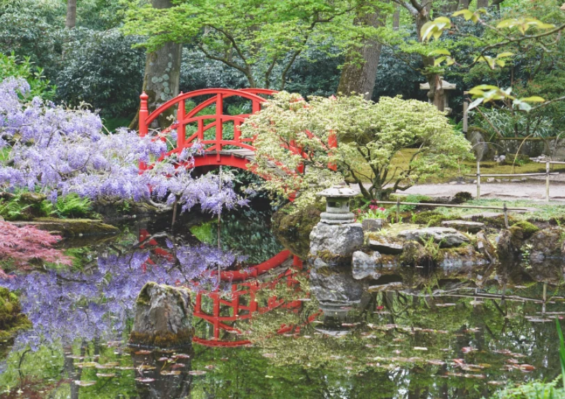 W ogrodach japońskich dominuje zieleń – symbol długiego życia