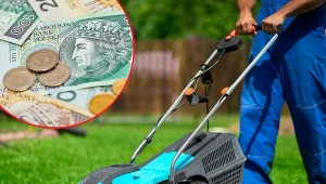 Sprawdź, czy można dostać mandat za koszenie trawnika.