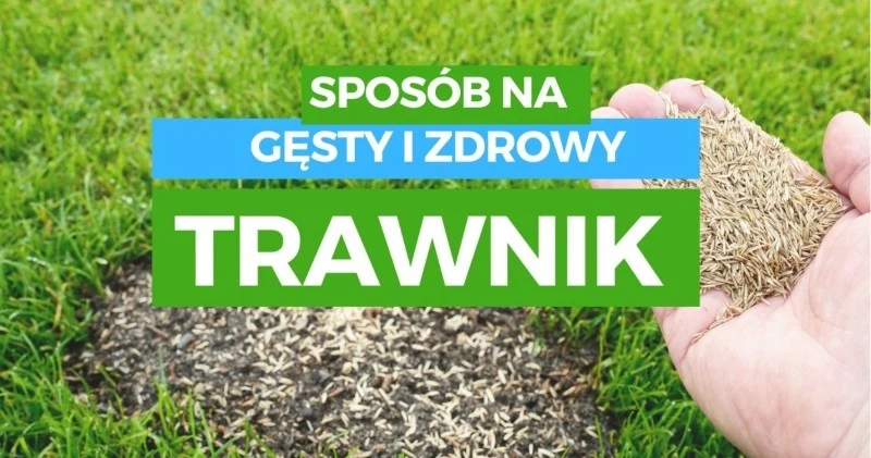 koszenie trawy