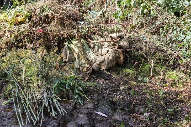 Kompostowanie na pryzmie nie jest wcale skomplikowane