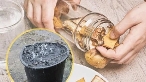 Banany mają w swojej skórce szkodliwe substancje, które razem z nawozem przenikają do roślin.