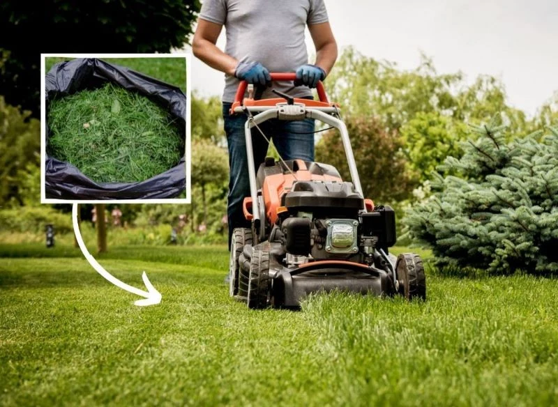 Mulczowanie to prosta i w pełni ekologiczna metoda zagospodarowania pokosu