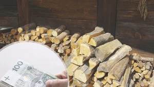 Kupuj teraz. Drewno opałowe staniało i jest lepszej jakości. Fot.123RF.com/Marek BAZAK/East News