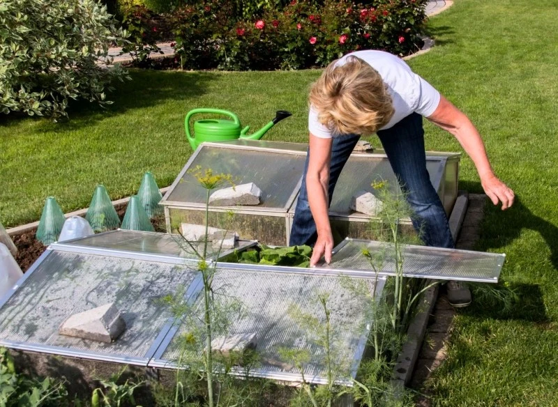 Inspekt znajdzie swoje zastosowanie w każdym ogrodzie