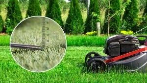 Odpowiednie koszenie trawy wpływa na jej rozwój.