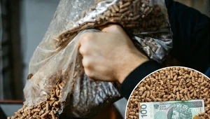 Sprawdź, jakie są ceny pelletu drzewnego w maju 2023. Fot.CanvaPro/Arkadiusz Ziolek/East News