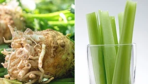 Seler naciowy zawiera dużą ilość witamin i minerałów.