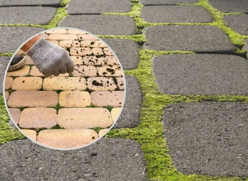 Zobaczcie, jak skutecznie usunąć mech z podjazdu, chodnika i schodów