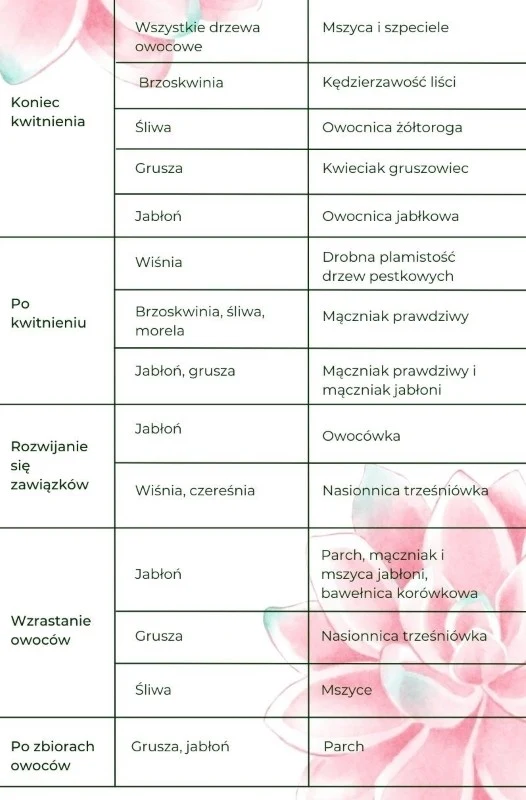 opryski drzew owocowych