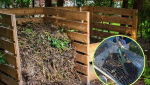 Jak pozyskać dobry kompost? Ogrodnik pokazał metodę, jak przesiewa i szuka czarnego złota