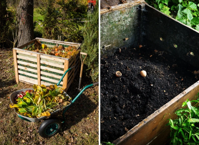 Zakładanie kompostownika to nic trudnego