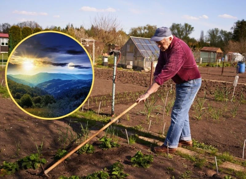 Wyjaśniamy, jak zaplanować prace w ogrodzie w maju zgodnie z kalendarzem biodynamicznym