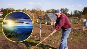 Wyjaśniamy, jak zaplanować prace w ogrodzie w maju zgodnie z kalendarzem biodynamicznym.