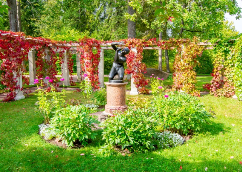 Winobluszcz wygląda widowiskowo zwłaszcza jesienią