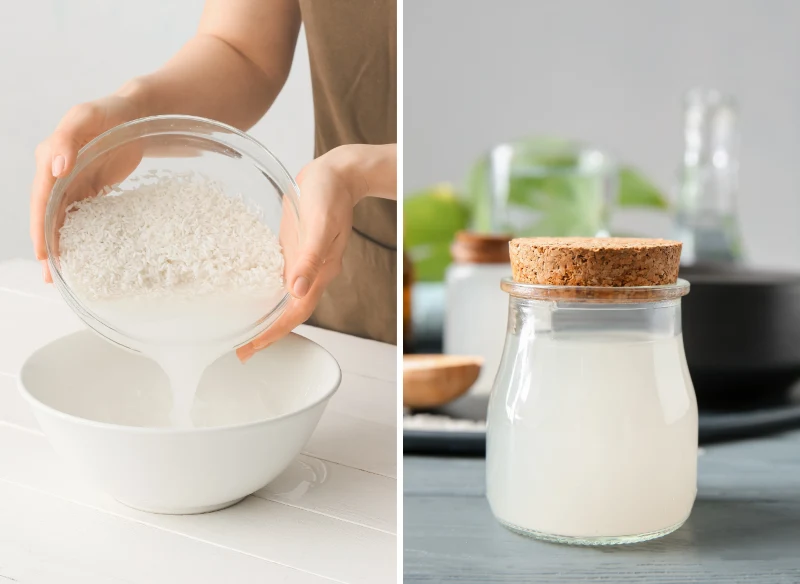 Woda ryżowa może zastąpić nawóz do storczyków ze sklepu