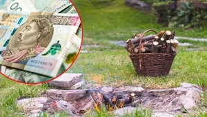 Sprawdź, czy możesz rozpalić ognisko na własnej posesji, a także jaka kara grozi za złamanie przepisów.