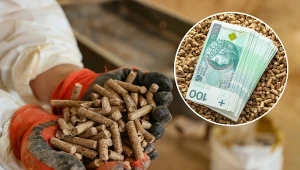 Dowiedz się, ile kosztuje tona pelletu w kwietniu 2023?/East News