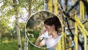 Kwiecień otwiera sezon pylenia, a co za tym idzie sezon objawów alergii, takich jak katar, kaszel, piekące oczy i zmęczenie.