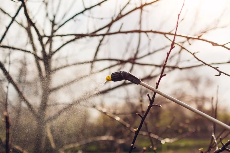 oprysk olejem parafinowym 