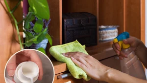 Wyjaśniamy, czym czyścić kurz, by jak najdłużej ponownie się nie osadzał.