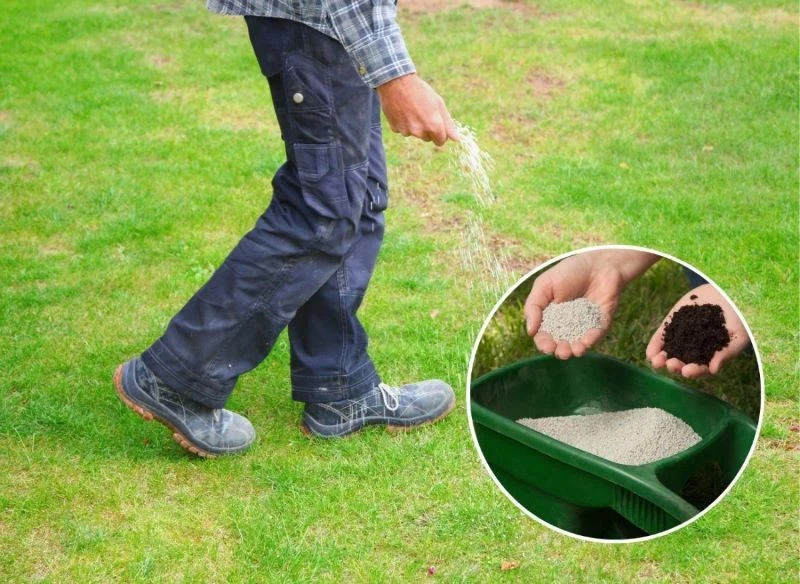 Sprawdź, jak i czym nawozić trawę na wiosnę, by była intensywnie zielona i zdrowa