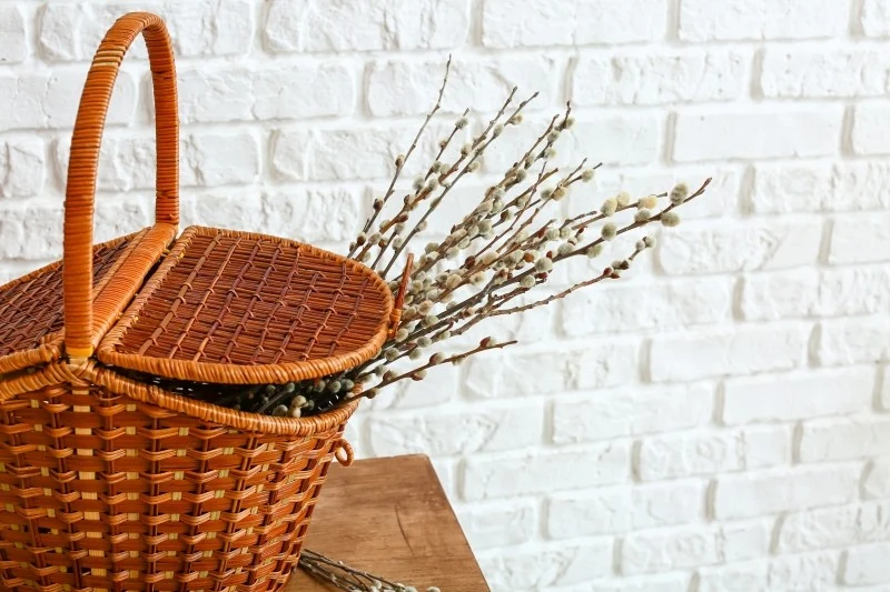 Koszyki z wikliny wymagają odpowiedniej pielęgnacji