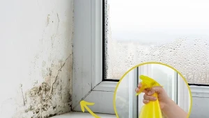 Podpowiadamy, jak usunąć pleśń z okien domowymi sposobami.