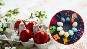 Jajka możemy zafarbować przy pomocy naturalnych barwników występujących w produktach spożywczych.