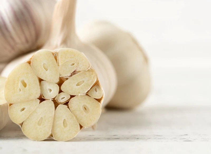 Aby uprawiać czosnek na parapecie, za pomocą ostrego noża odetnij czubek główki