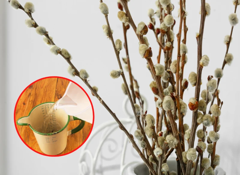 Wyjaśniamy, jak przedłużyć trwałość bazi