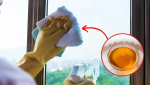 Wyjaśniamy, jak myć okna przy pomocy domowych i ekologicznych produktów.