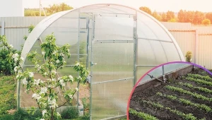 Zainstaluj tunel foliowy w swoim ogrodzie. Ta konstrukcja całkowicie odmieni twoje podejście do ogrodnictwa i pozwoli uzyskać wymarzone plony.