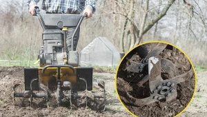 Jak wybrać glebogryzarkę - rodzaje, cena, zalety i wady