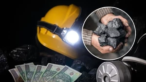 Sprawdź, ile zapłacimy za tonę węgla w marcu 2023 i czy warto robić już zapasy.