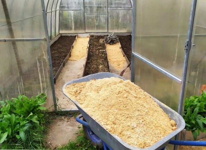 Zrębki i trociny mają wiele zastosowań w ogrodzie